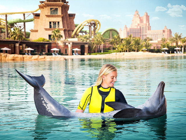Плавание с дельфинами в отеле Атлантис Дубай